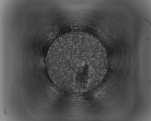X0000091550770200709071215