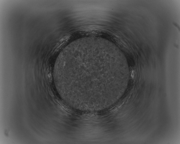 X0000091550771200709071215