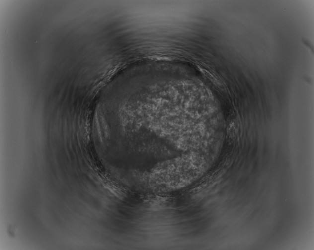 X0000091550772200709071215