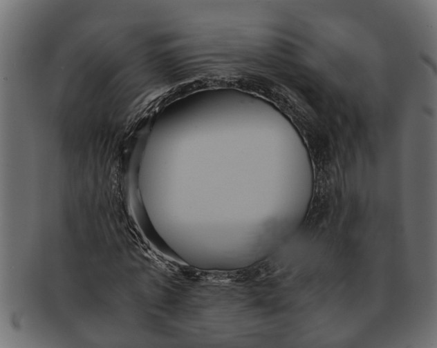 X0000091550773200709071215