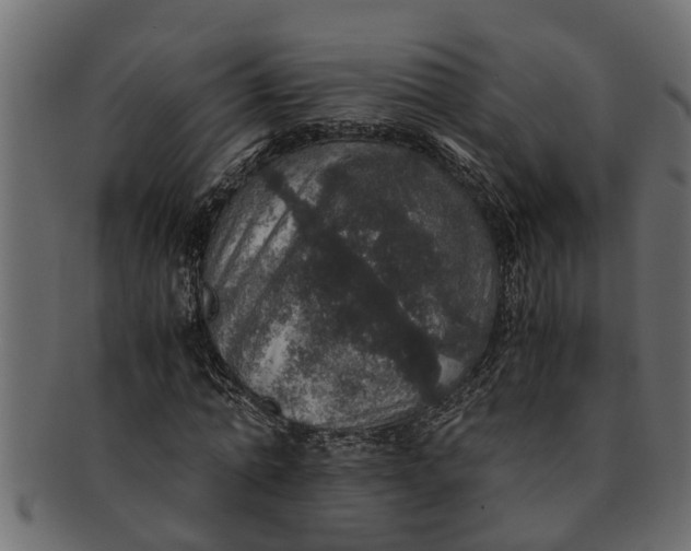X0000091550774200709071215