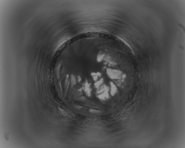 X0000091550775200709071215