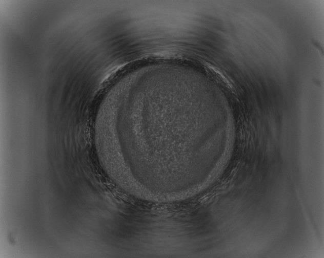 X0000091550776200709071215