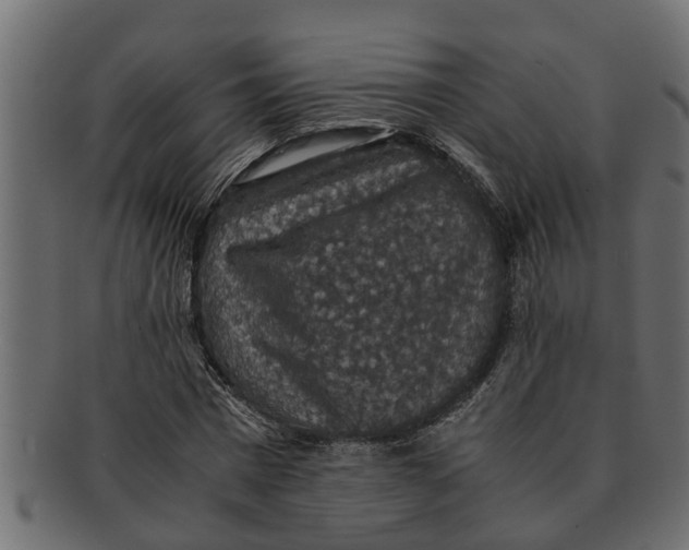 X0000091550777200709071215