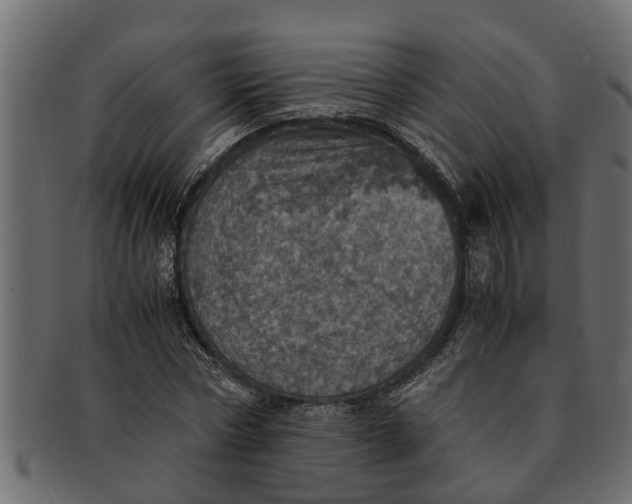 X0000091550778200709071215