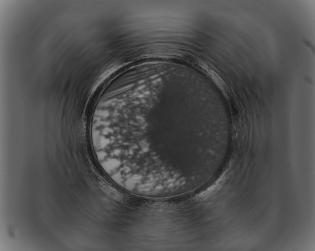X0000091550779200709071215