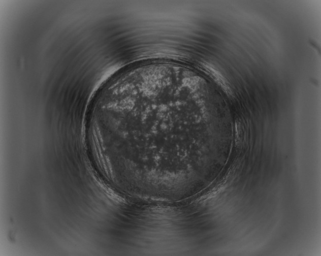 X0000091550780200709071215
