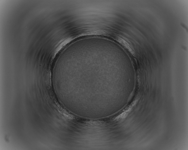 X0000091550781200709071215