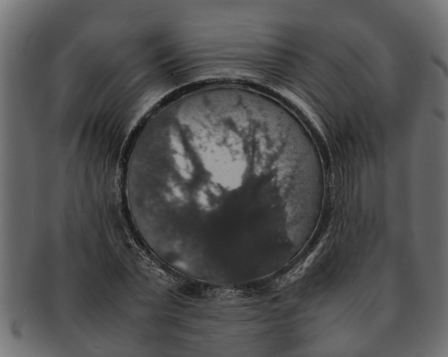X0000091550783200709071215