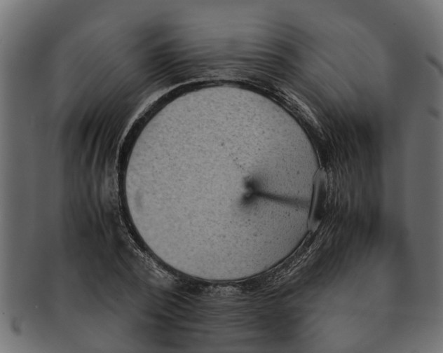 X0000091550784200709071215