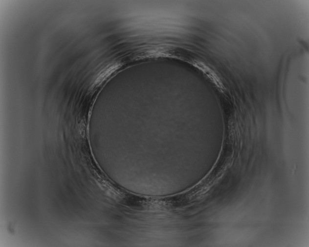 X0000091550785200709071215