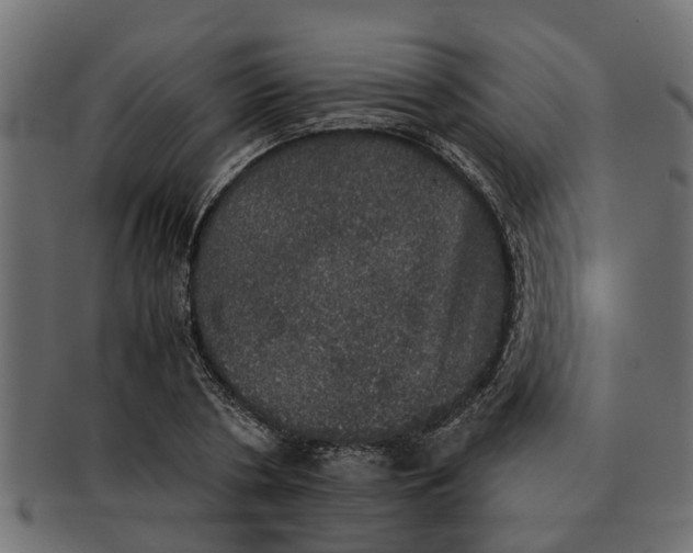 X0000091550786200709071215
