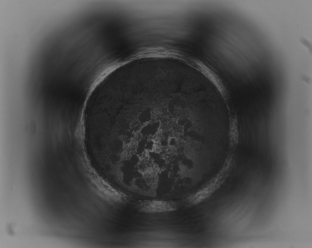 X0000091550787200709071215
