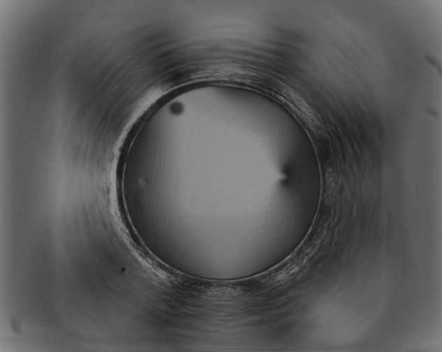 X0000091550788200709071215