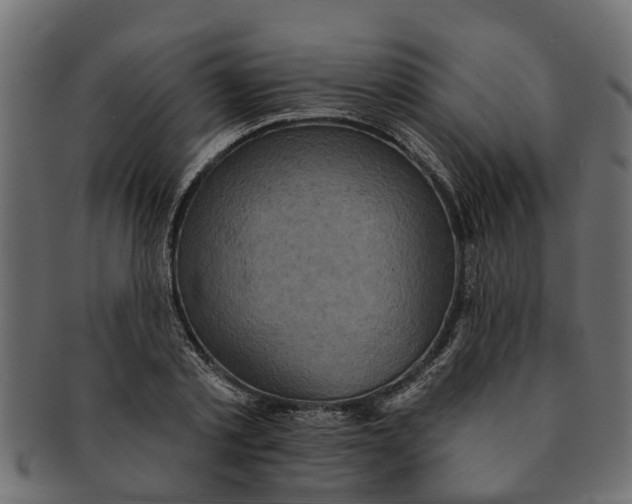X0000091550789200709071215
