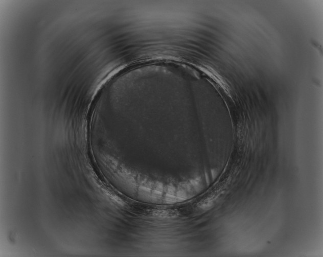 X0000091550790200709071215