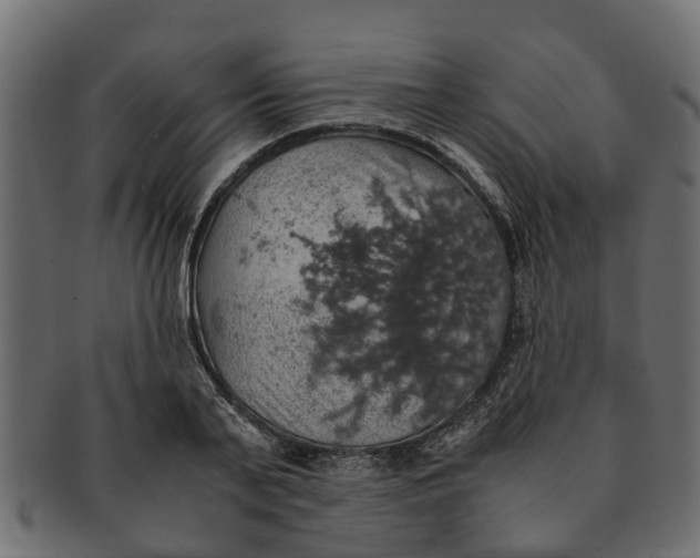 X0000091550791200709071215