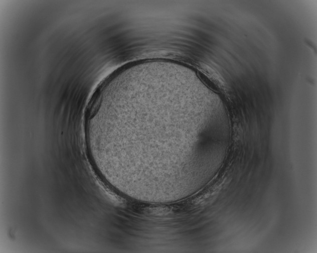 X0000091550792200709071215