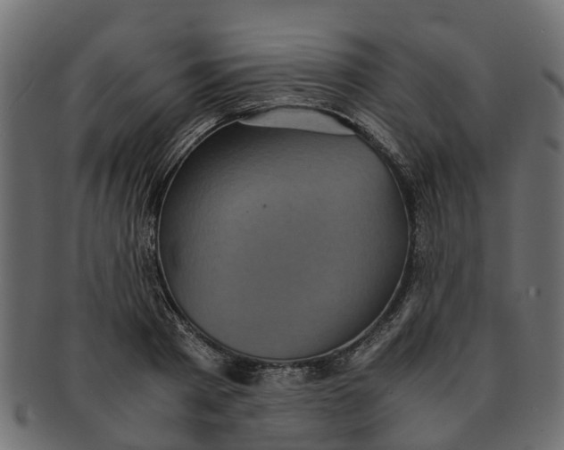 X0000091550793200709071215