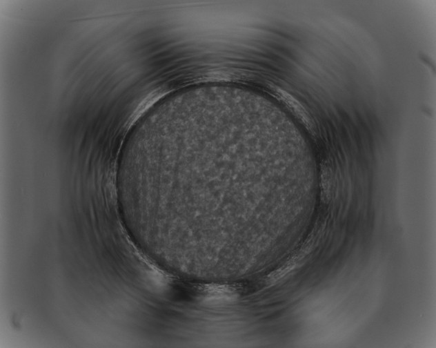 X0000091550794200709071215