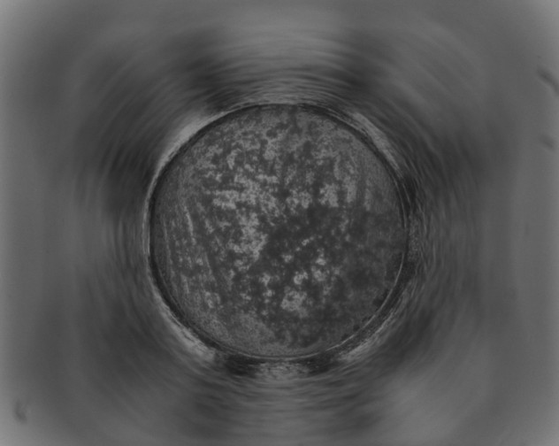 X0000091550795200709071215