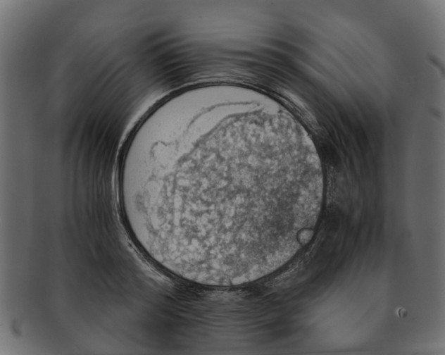 X0000091550796200709071215
