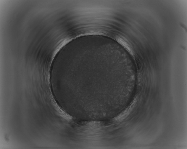 X0000091550797200709071215