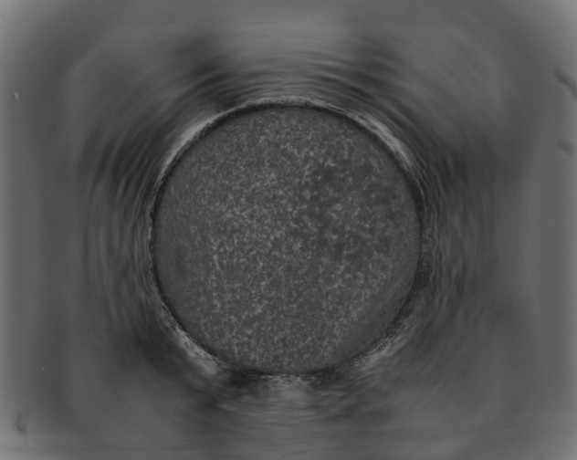 X0000091550799200709071215