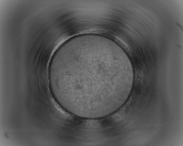 X0000091550800200709071215