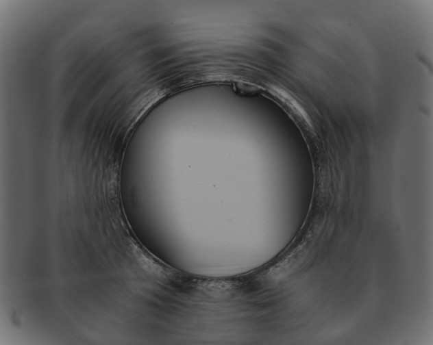 X0000091550801200709071215