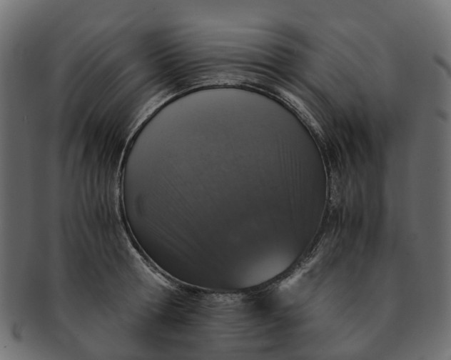 X0000091550802200709071215
