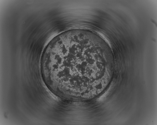 X0000091550803200709071215
