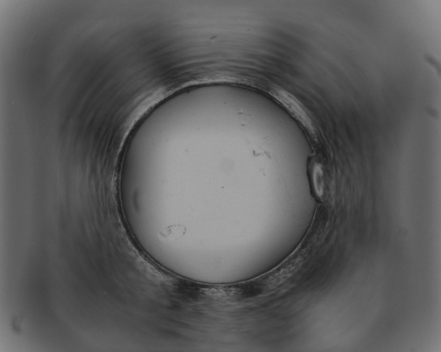 X0000091550805200709071215