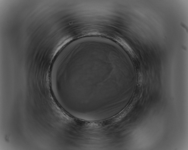 X0000091550806200709071215