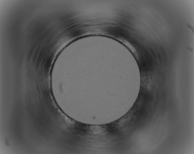 X0000091550807200709071215