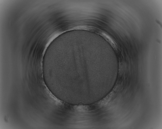X0000091550808200709071215