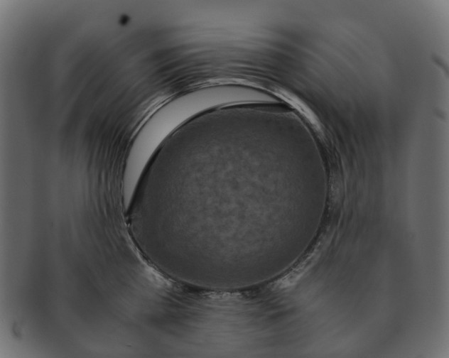 X0000091550809200709071215