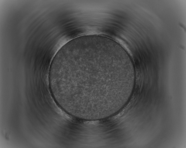 X0000091550810200709071215