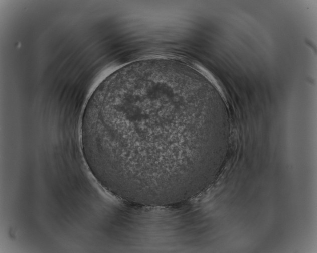X0000091550811200709071215