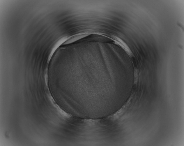 X0000091550812200709071215
