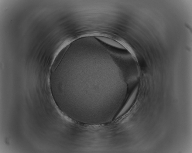 X0000091550813200709071215