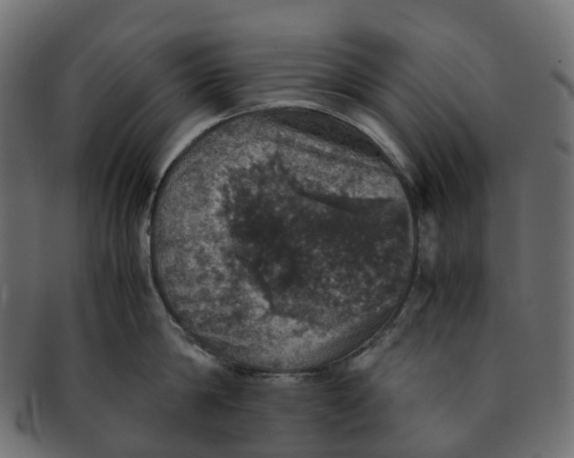 X0000091550814200709071215
