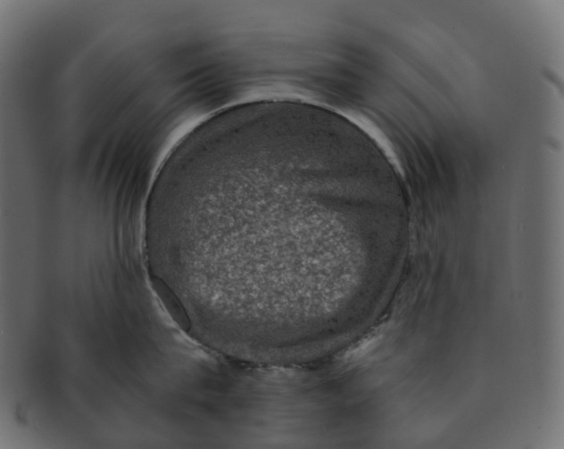 X0000091550815200709071215
