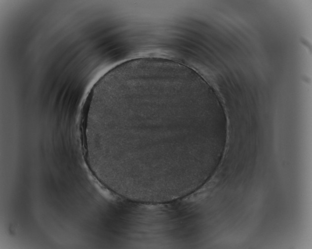 X0000091550816200709071215