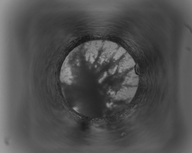X0000091550817200709071214