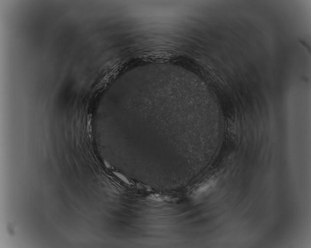 X0000091550818200709071214