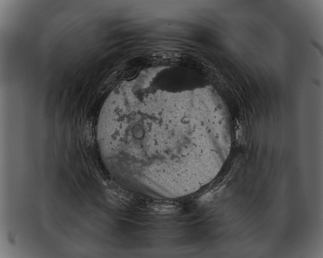 X0000091550819200709071214