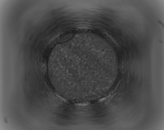 X0000091550821200709071214