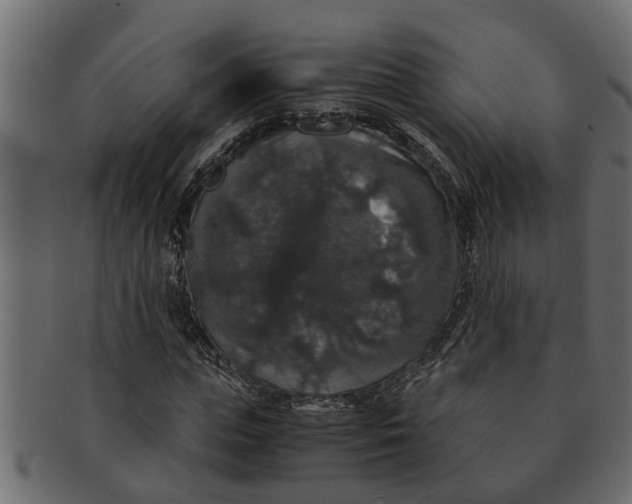X0000091550823200709071214