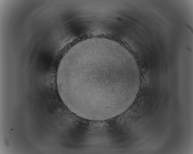 X0000091550824200709071214
